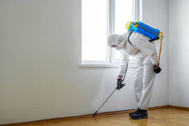 Best Fumigation Services  in Wapakoneta, OH